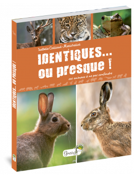 IDENTIQUES... OU PRESQUE ! CES ANIMAUX A NE PAS CONFONDRE